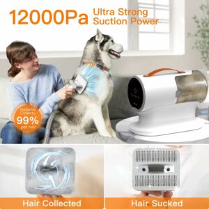 Scopri AIRROBO PG100, l'aspirapolvere per cani con 5 strumenti e 12000 Pa.
