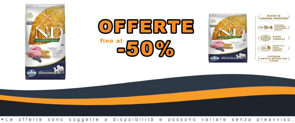 Cibo per cani N&D Ancestral Grain Lamb, Spelt, Oats, Blueberry 12kg