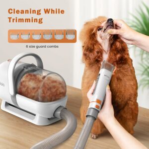 Afloia Tosatrice per Cani Professionale: Toelettatura Completa e Offerte