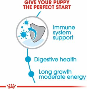 Royal Canin Alimento Cane Maxi Junior - nutrizione ottimale per cuccioli di taglia grande.