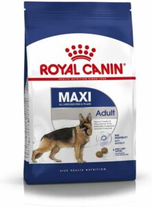 Royal Canin Maxi Adult 15 kg, supporto articolare per cani di taglia grande