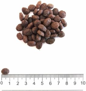 Cibo secco per cani adulti di taglia mini, grain free, con pesce e patate, confezione da 7 kg  