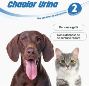 Detergente Enzimatico per eliminare odori di pipì di cane e gatto su tappeti, tessuti e superfici