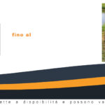 Cuccia rialzata per cani lionto con tetto, comoda e resistente, dimensioni 110x75x105 cm