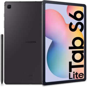 Samsung Galaxy Tab S6 Lite con S Pen in primo piano  