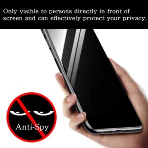 Pellicola Privacy VacFun per DOOGEE U10 10.1" Tablet, protezione schermo antispy