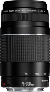 Canon Teleobiettivo Zoom EF 75-300 mm f/4-5.6 III, obiettivo fotografico per reflex