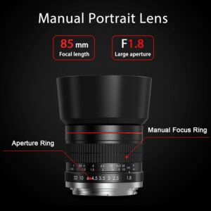 Obiettivo EF 85mm f1.8 montato su fotocamera Canon per ritratti professionali  