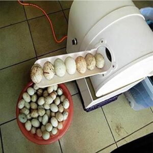 Lavatrice Elettrica per Uova BsxiouY, completamente automatica, compatibile con uova di pollo, anatra e altre varietà.