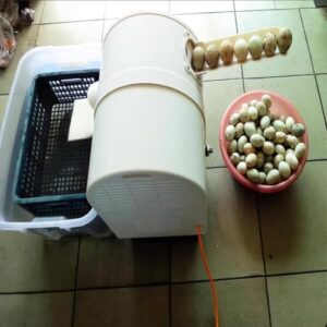 Lavatrice automatica per uova BsxiouY, spazzola delicata, lavaggio efficace, design pratico
