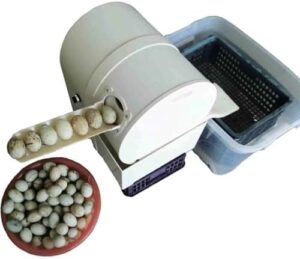 Lavatrice per uova BsxiouY completamente automatica, compatibile con uova di anatra, compatta e facile da usare