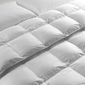 Evergreenweb - Piumino Invernale Letto Una Piazza e Mezza 200x200 cm in 100% Piumino, Piuma D'Oca di Alta qualità, Fodera Cotone 100% Naturale Colore Bianco Anallergico Lavabile in Lavatrice Offerta