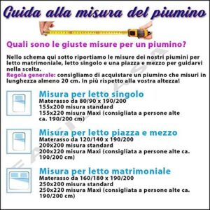 Evergreenweb - Piumino Invernale Letto Una Piazza e Mezza 200x200 cm in 100% Piumino, Piuma D'Oca di Alta qualità, Fodera Cotone 100% Naturale Colore Bianco Anallergico Lavabile in Lavatrice Offerta