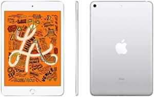 Apple iPad Mini 5 64GB Wi-Fi - Argento (Ricondizionato)