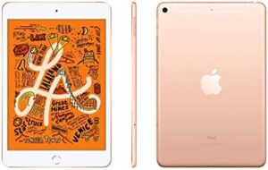 Apple iPad Mini 5 256GB 4G - Oro - Sbloccato (Ricondizionato)