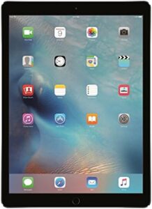 2015 Apple iPad Pro (12,9 pollici, WiFi, 32 GB) grigio siderale (Ricondizionato)